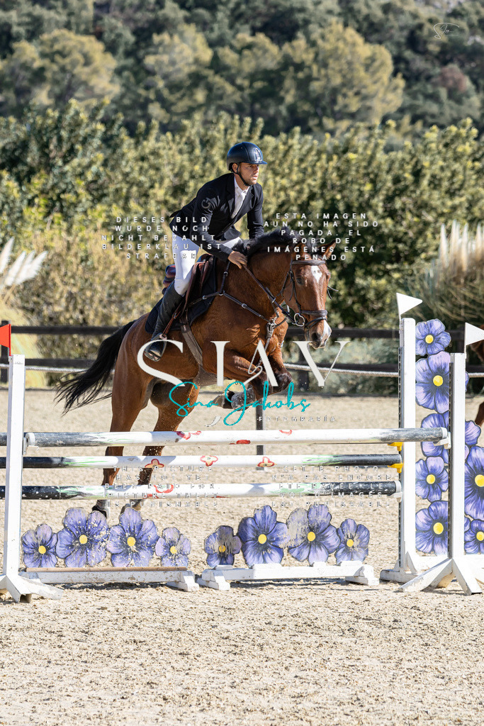 IMG_0277 | s-jay-photography - Realisiert mit Pictrs.com