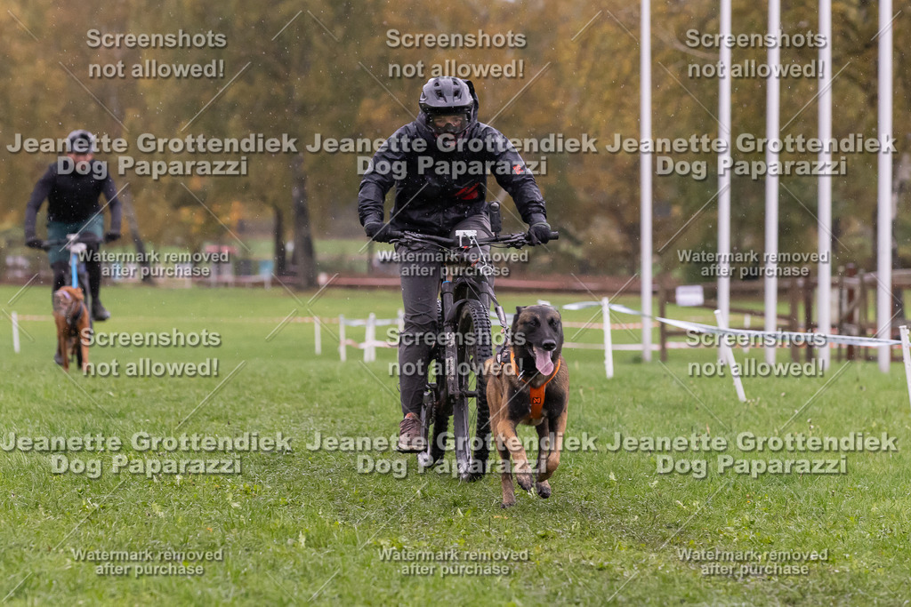 Dog Paparazzi - SD CaniX Championship 2025-950 | Dog Paparazzi Jeanette Grottendiek Fotografie & Videografie - Realisiert mit Pictrs.com