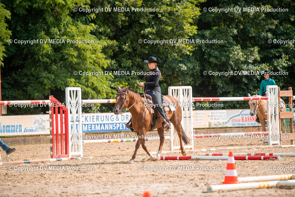 ZS2_7633 | dv-media-shop - Realisiert mit Pictrs.com