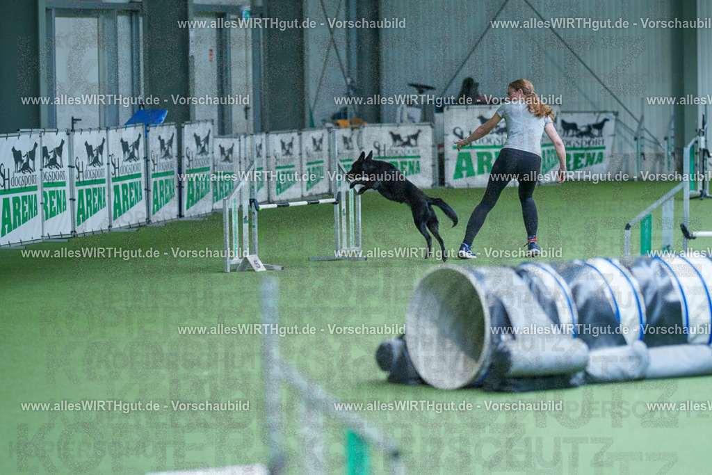 @allesWIRTHgut_Tierfotografie - www.allesWIRTHgut.de - 2604261352-7R502857 | Professionelle Tierfotografie in Mönchengladbach von Daniel Wirth (allesWIRTHgut). Liebevolle & natürliche Bilder von Hunden & Katzen für unvergessliche Erinnerungen.