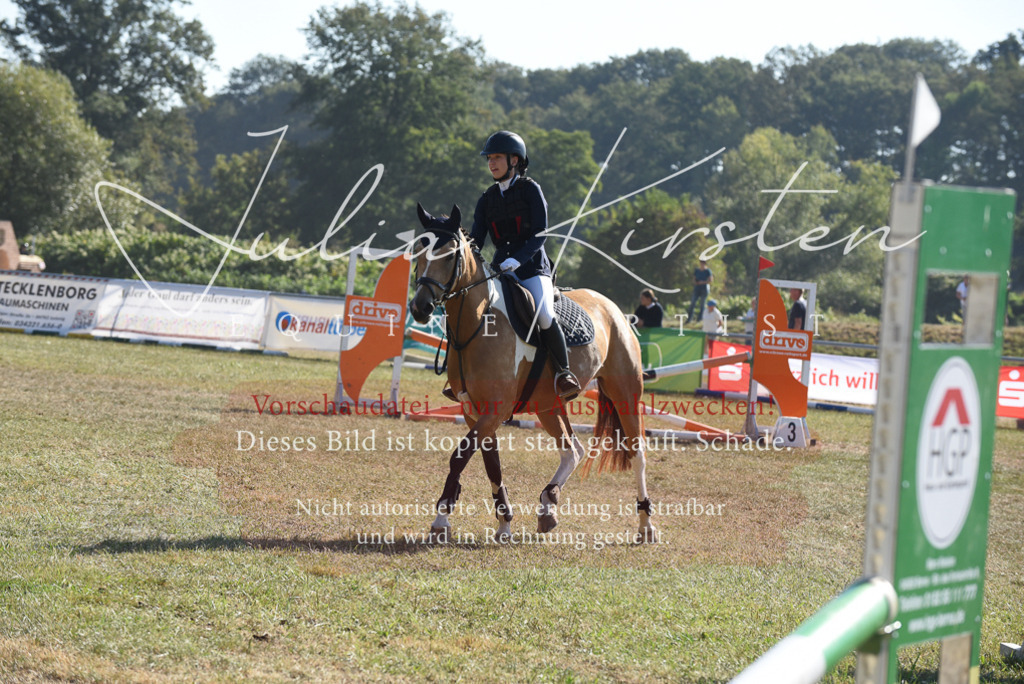 DSC_5976 | Pferde- und Turnierfotografie in Westsachsen. Pferdeportraits, Auftragszeichnungen und intuitive Kunst.