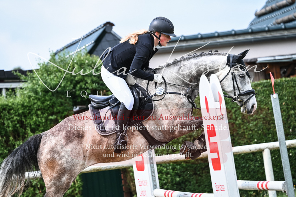 DSC_8379 | Pferde- und Turnierfotografie in Westsachsen. Pferdeportraits, Auftragszeichnungen und intuitive Kunst.