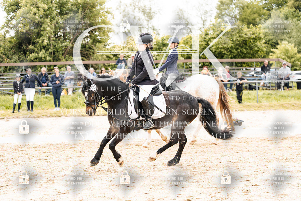 CK904362 | Turnierfotografie Pferdefotografie Trier Rheinland-Pfalz Pferdesport Reitsport Tierfotografie Sportfotografie Pferdevideo Pferdevideografie Equestrianvideography equestrianphotography  - Realisiert mit Pictrs.com