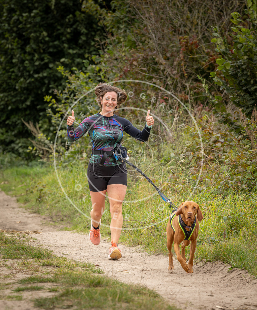 Pfotenfotografie_DV3A8083 | Hundefotografie, Tierfotograf, Pfotenfotografie, Fotoshooting Hund, Hunde Portrait, Hundesport, Hundeportraits, Heideshooting, Hunde, Sportfotograf, Hundefotograf, Turnierhundsport, THS,  - Realisiert mit Pictrs.com