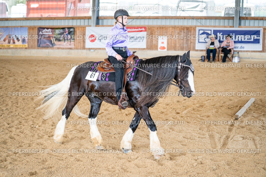 DSC03261 | Pferdegrafie