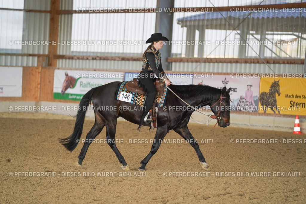 DSC09664 | Pferdegrafie