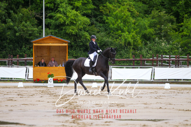 DKP46658 | Turniersportfotografie; Pferdefotografie; Dressurfotografie