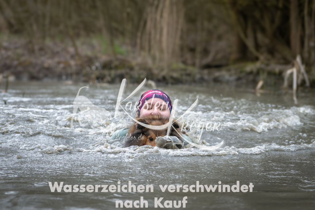 1000_ZZ94510 | kk-dogfotos