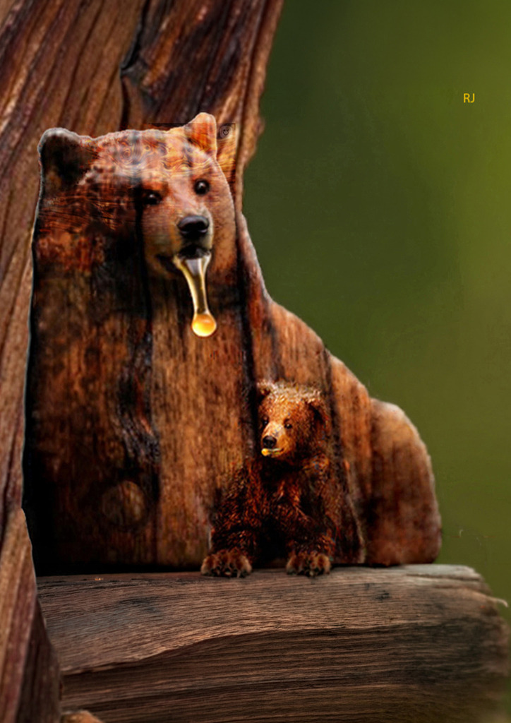 BärenBrüder | raphyshop. - Realisiert mit Pictrs.com