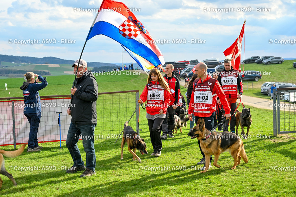 ASVÖ_ Tracking Dog World Championship 2025_ 05.04.2025-120 | bilder.asvo-sport - Realisiert mit Pictrs.com