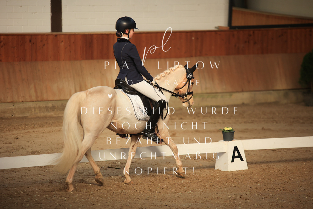 IMGT3585 | pl-fotografie