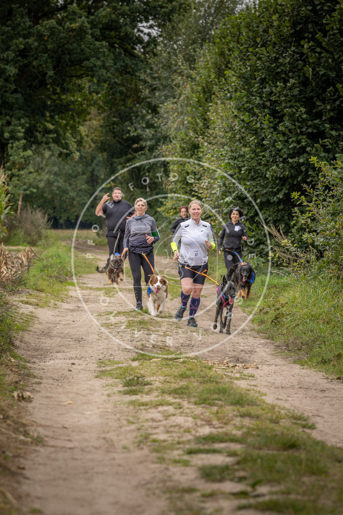 Pfotenfotografie_DV3A6230 | Hundefotografie, Tierfotograf, Pfotenfotografie, Fotoshooting Hund, Hunde Portrait, Hundesport, Hundeportraits, Heideshooting, Hunde, Sportfotograf, Hundefotograf, Turnierhundsport, THS,  - Realisiert mit Pictrs.com