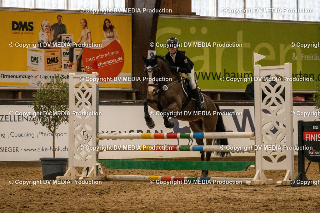 Kranichstein Tag 1-288 | dv-media-shop - Realisiert mit Pictrs.com