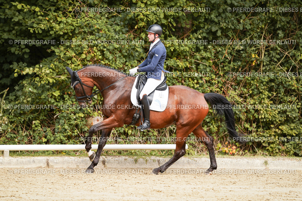 DSC09124 | Pferdegrafie