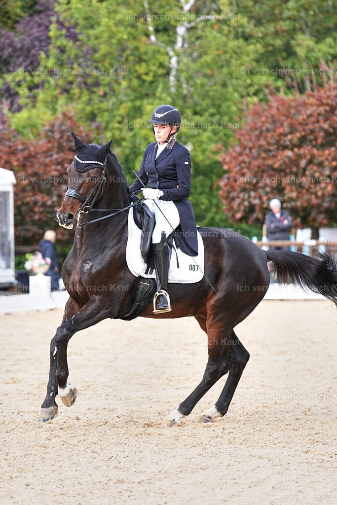 07-007-DRESSUR  S___  -Marixx-5133 | working equitationturnier fotograf videograf stoibphotography marixx film working equitation deutschland reitsport turnierfotografie eventfotografie equestrian events