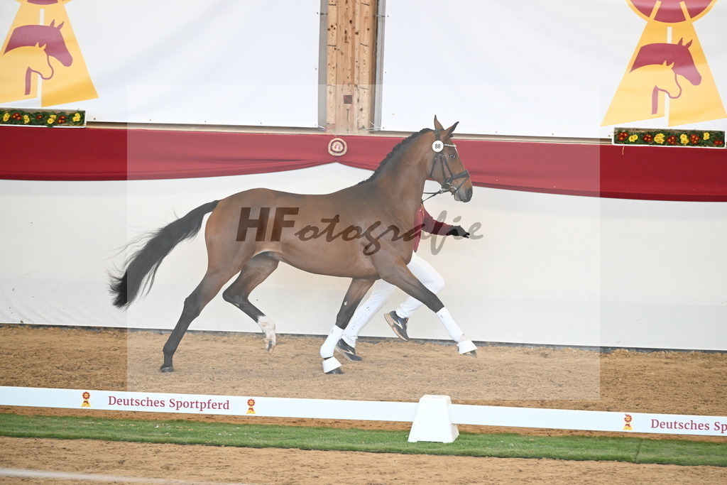 Kat.-Nr. 88 v. Vitalis_Schlamminger_2250672 | hf-fotografie - Realisiert mit Pictrs.com
