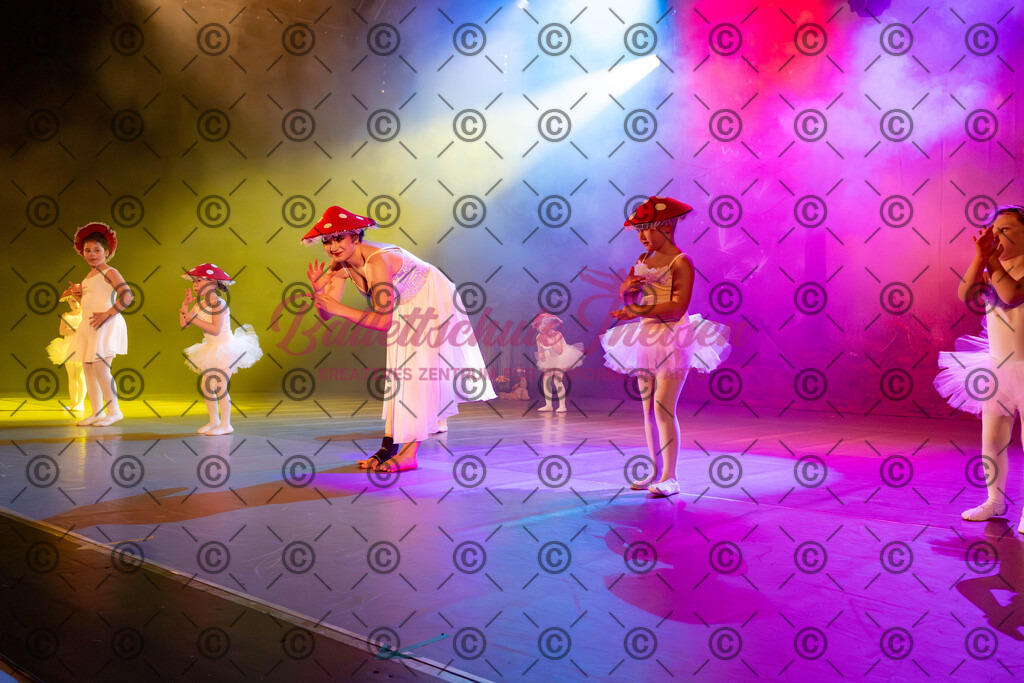 Ballettaufführung-61 | Bildershop Lem'n Entertainment - Realisiert mit Pictrs.com
