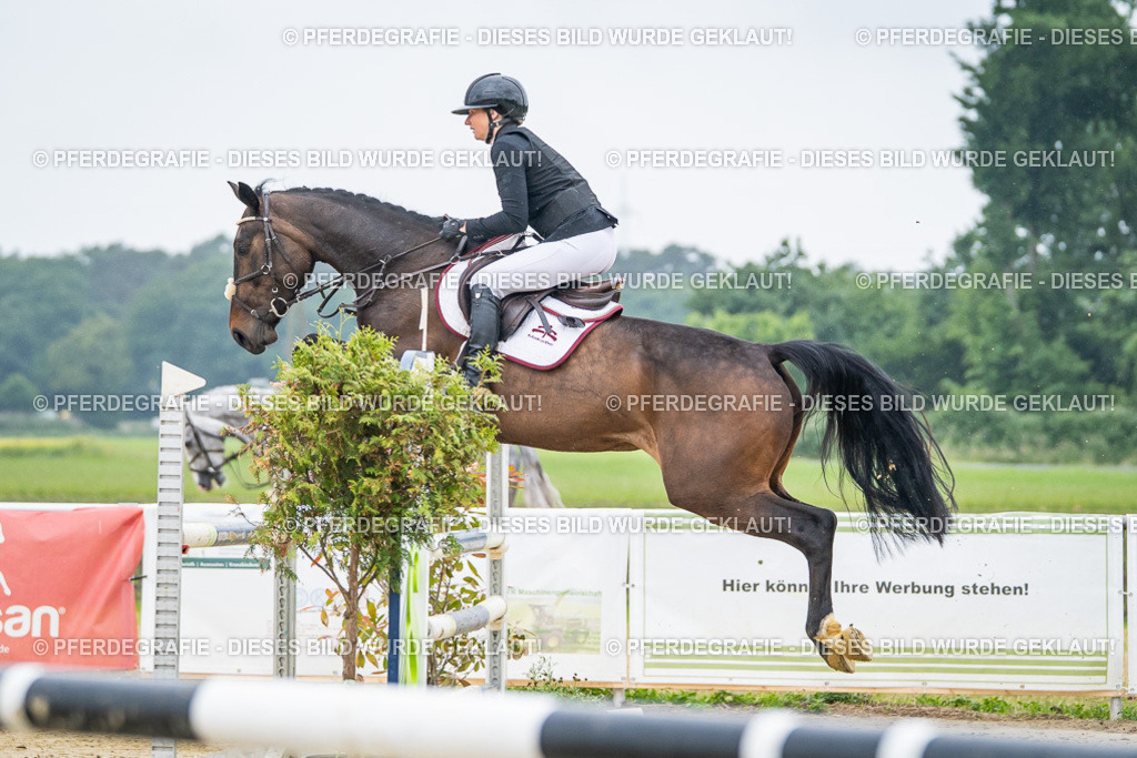 DSC01236 | Pferdegrafie