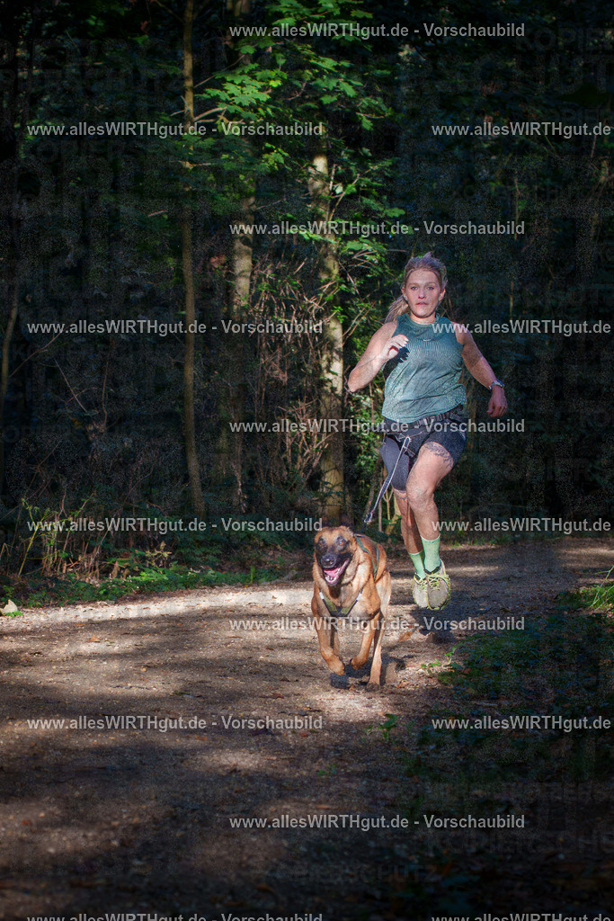 THS_Turnier_27-09-2026-allesWIRTHgut_Tierfotografie-7R505185 | Professionelle Tierfotografie in Mönchengladbach von Daniel Wirth (allesWIRTHgut). Liebevolle & natürliche Bilder von Hunden & Katzen für unvergessliche Erinnerungen.