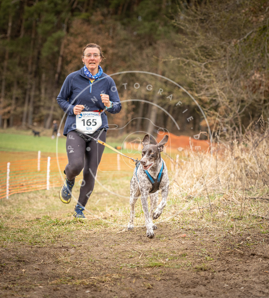 DV3A2159 | Hundefotografie, Tierfotograf, Pfotenfotografie, Fotoshooting Hund, Hunde Portrait, Hundesport, Hundeportraits, Heideshooting, Hunde, Sportfotograf, Hundefotograf, Turnierhundsport, THS,  - Realisiert mit Pictrs.com