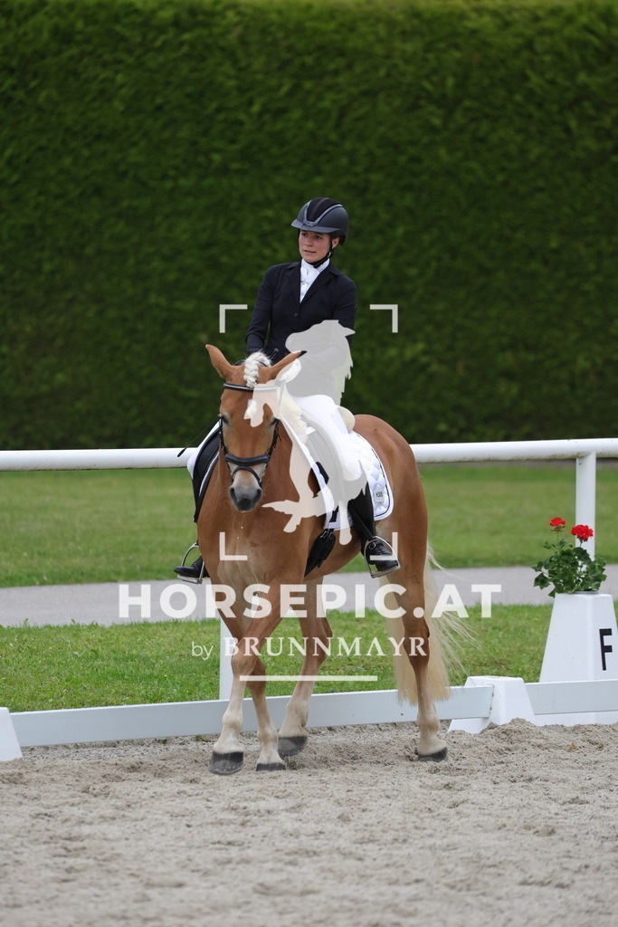 0P6A7090 | Willkommen bei Brunnmayr - Design & Fotografie – Ihrem Spezialisten für Reitturniere und Pferdeveranstaltungen in Oberösterreich, Salzburg und Bayern! Seit über 17 Jahren sind wir leidenschaftlich dabei.