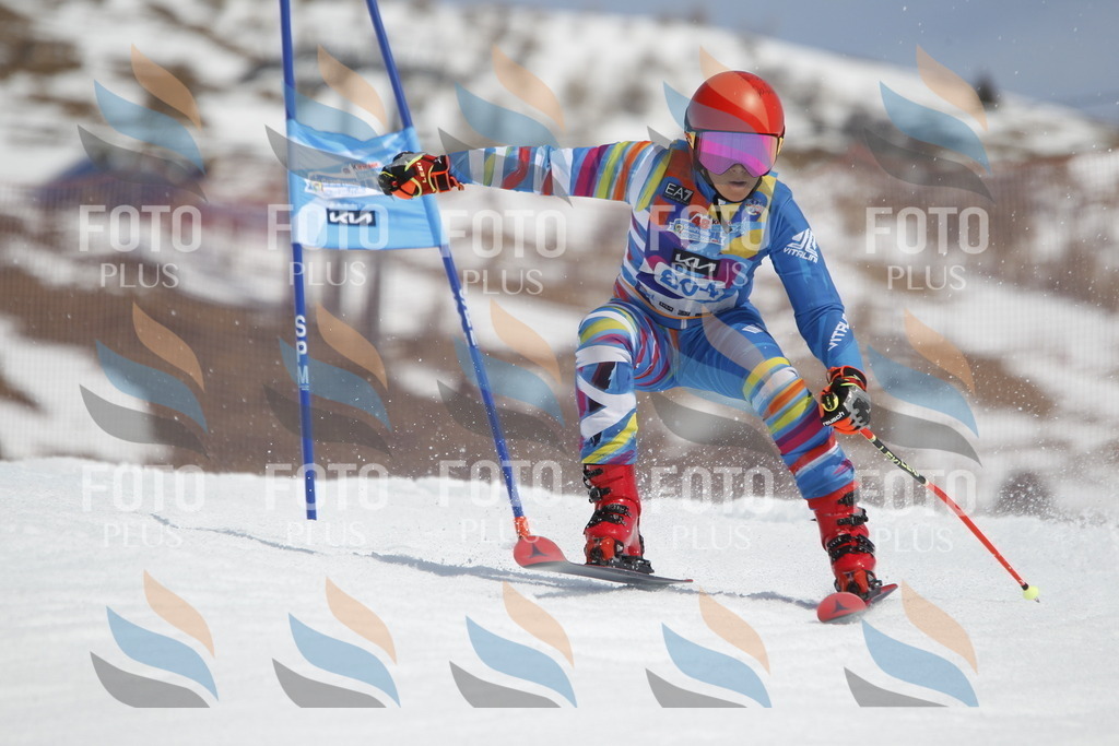 _U3G2113 | holidayphoto