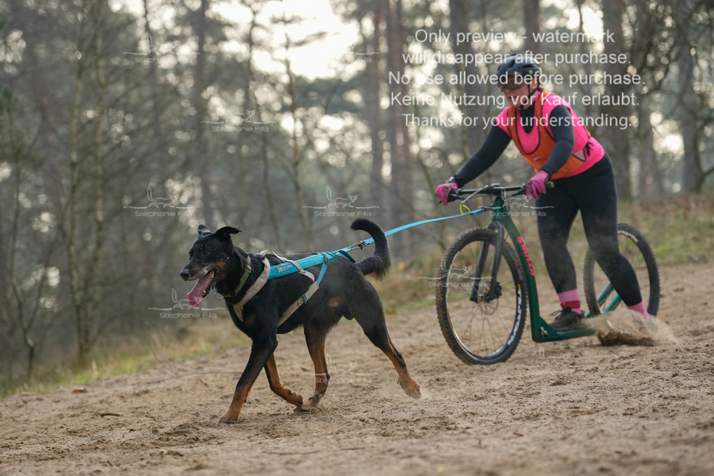 Scooter1-198 | stephaniefillaphotographie - Realisiert mit Pictrs.com