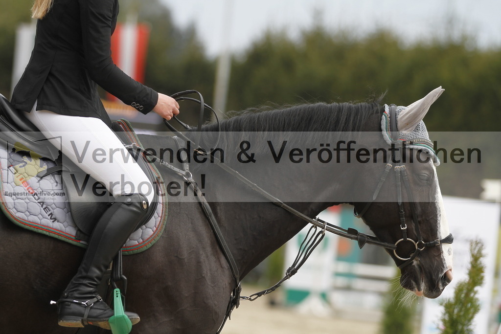 _MG_0791 | equestrian-live-com