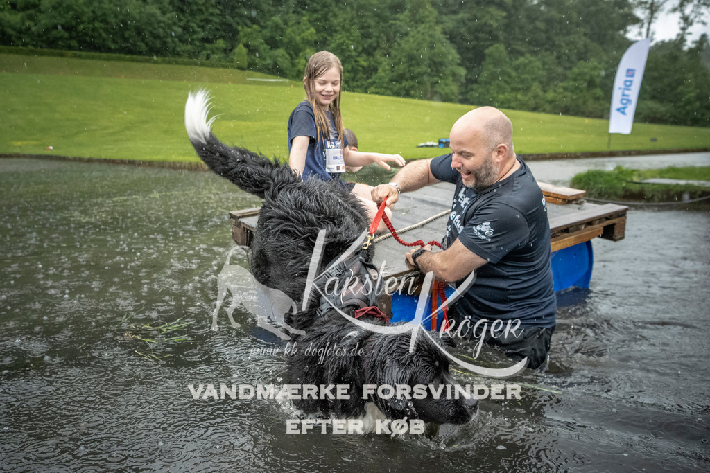 1323_ZZ98056 | kk-dogfotos