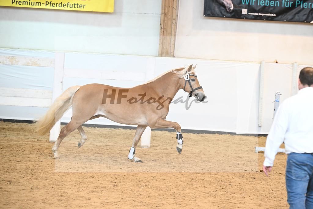 Kat-Nr. 17 v. Barios_Hartmann_6240369 | hf-fotografie - Realisiert mit Pictrs.com