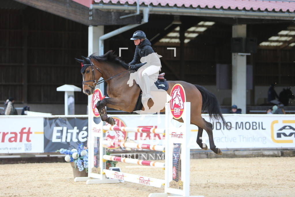 DL2Q0014 | Willkommen bei Brunnmayr - Design & Fotografie – Ihrem Spezialisten für Reitturniere und Pferdeveranstaltungen in Oberösterreich, Salzburg und Bayern! Seit über 17 Jahren sind wir leidenschaftlich dabei.