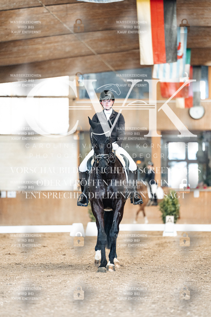 CK900712 | Turnierfotografie Pferdefotografie Trier Rheinland-Pfalz Pferdesport Reitsport Tierfotografie Sportfotografie Pferdevideo Pferdevideografie Equestrianvideography equestrianphotography  - Realisiert mit Pictrs.com