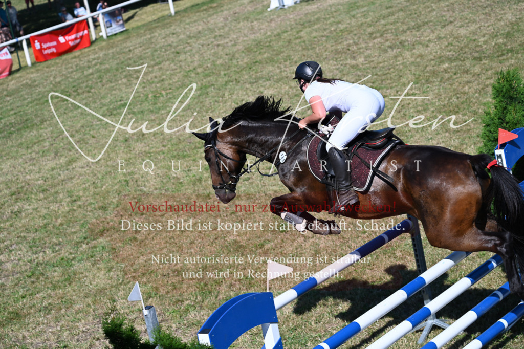 DSC_1997 | Pferde- und Turnierfotografie in Westsachsen. Pferdeportraits, Auftragszeichnungen und intuitive Kunst.