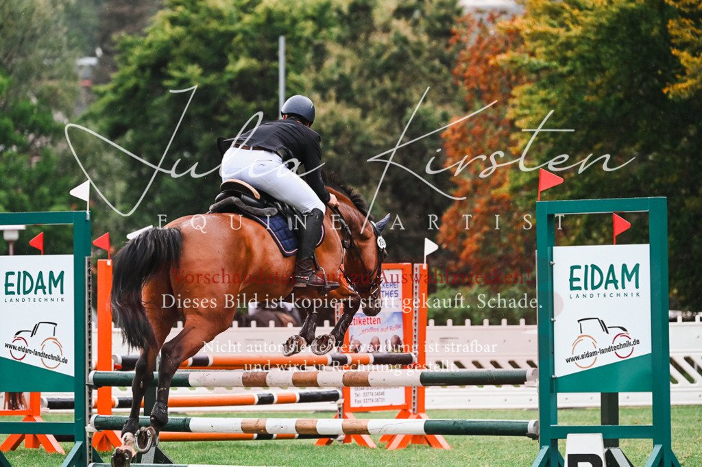 DSC_6346 | Pferde- und Turnierfotografie in Westsachsen. Pferdeportraits, Auftragszeichnungen und intuitive Kunst.