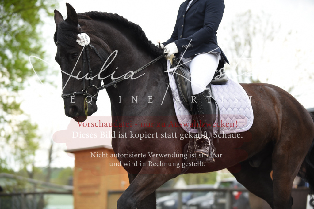 20230513_JK-Röhrsdorf-15-052 | Pferde- und Turnierfotografie in Westsachsen. Pferdeportraits, Auftragszeichnungen und intuitive Kunst.