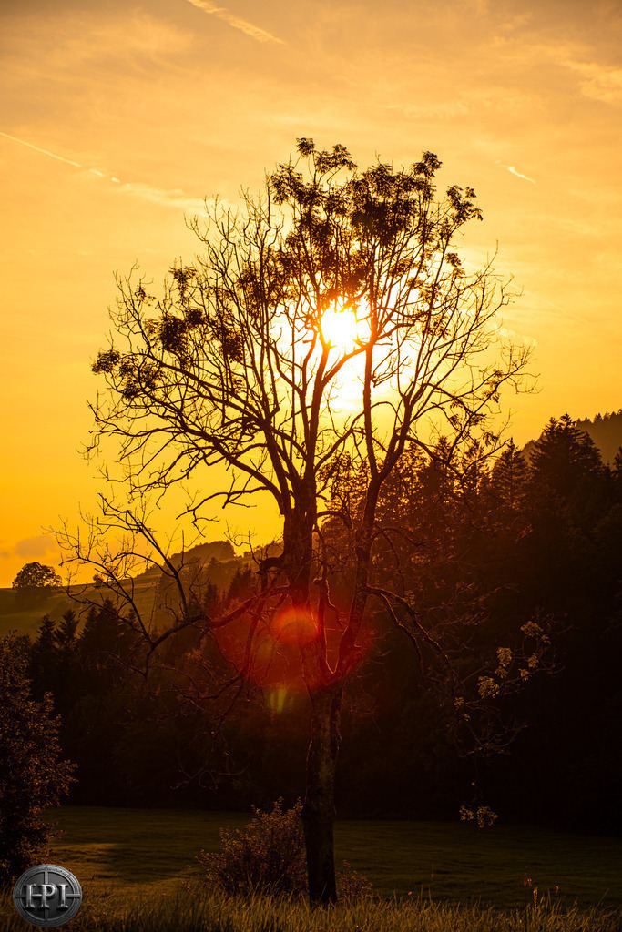 Light magic | Sonnenuntergang hinter dem Ricken - Realisiert mit Pictrs.com