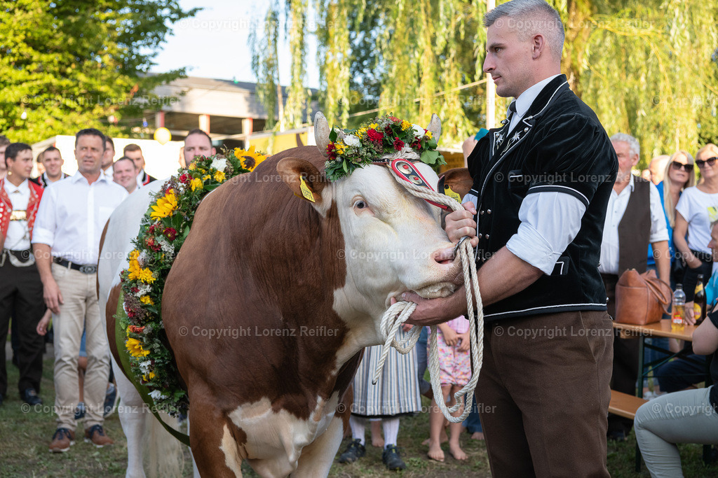 Schwingen -  Unspunnen Empfang 2023 | Wigoltingen, 2.9.23, Schwingen - Unspunnen Empfang.