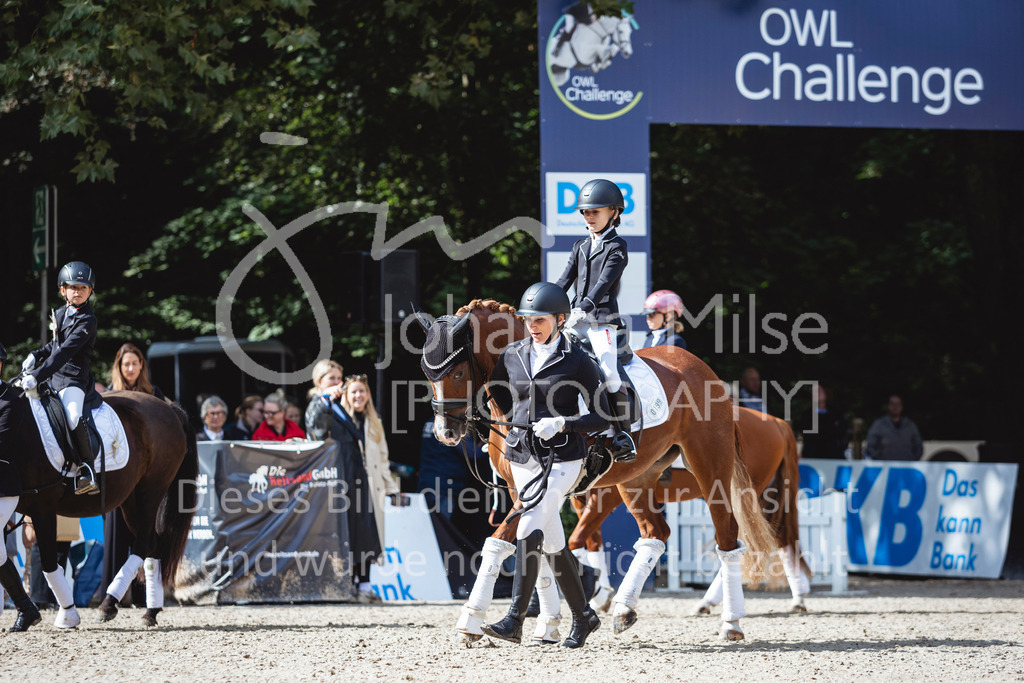 240915_OWLCh_FuehrzuegelWB-630 | Deine schönsten Turniermomente als professionelle Fotos! Entdecke hochwertige Pferdesport-Fotografie im Online-Shop. Jetzt Fotos finden & bestellen!