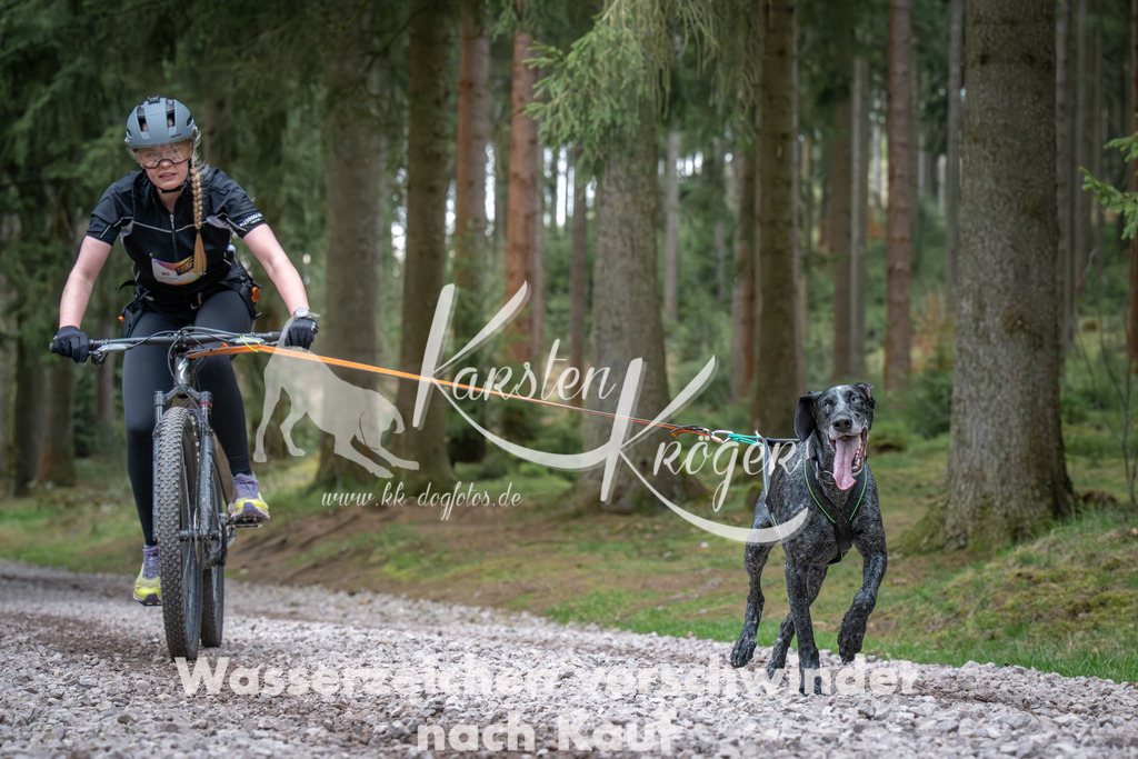 0945_ZZ91911 | kk-dogfotos