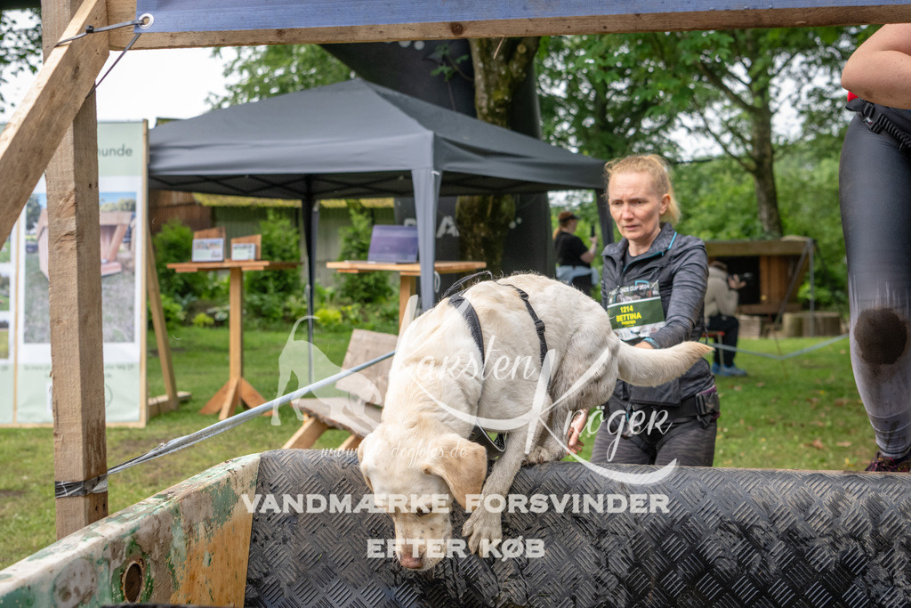 1029_ZZ90828 | kk-dogfotos