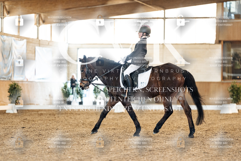 CK907221 | Turnierfotografie Pferdefotografie Trier Rheinland-Pfalz Pferdesport Reitsport Tierfotografie Sportfotografie Pferdevideo Pferdevideografie Equestrianvideography equestrianphotography  - Realisiert mit Pictrs.com
