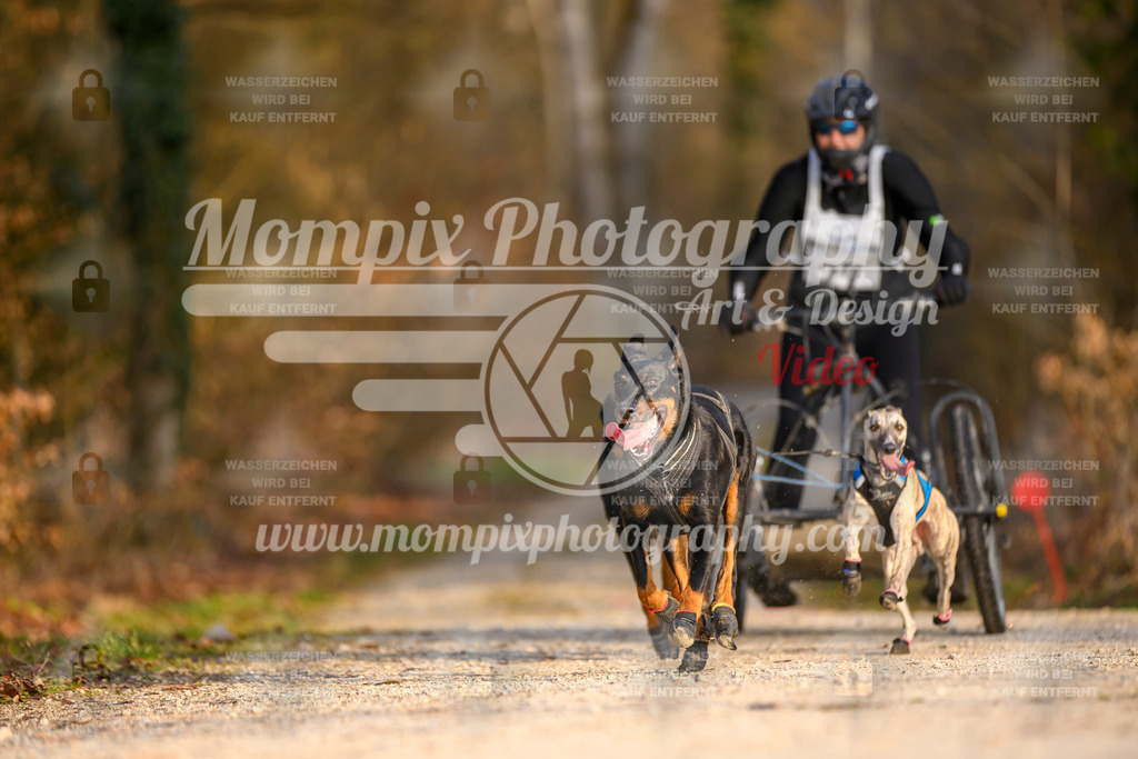 MompixPhotography_6ReiatRennen2026_SO_Kart-25 | PayLife