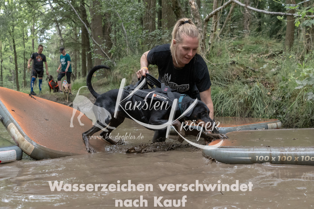 1319_ZZ93264 | kk-dogfotos