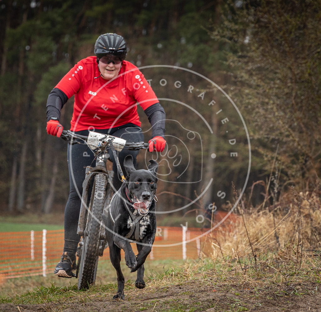0L8A8872 | Hundefotografie, Tierfotograf, Pfotenfotografie, Fotoshooting Hund, Hunde Portrait, Hundesport, Hundeportraits, Heideshooting, Hunde, Sportfotograf, Hundefotograf, Turnierhundsport, THS,  - Realisiert mit Pictrs.com