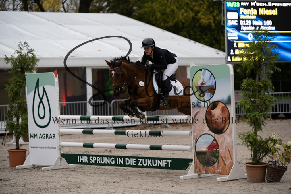 A7V09974 | Turnier/Reitfotograf