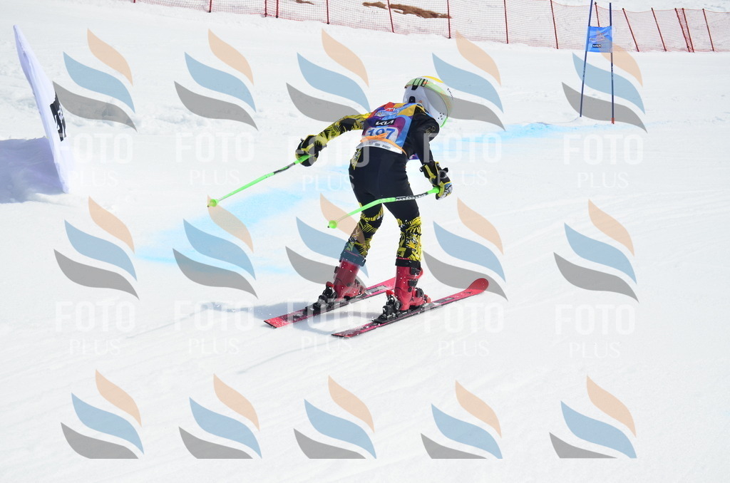 _ELE1828 | holidayphoto