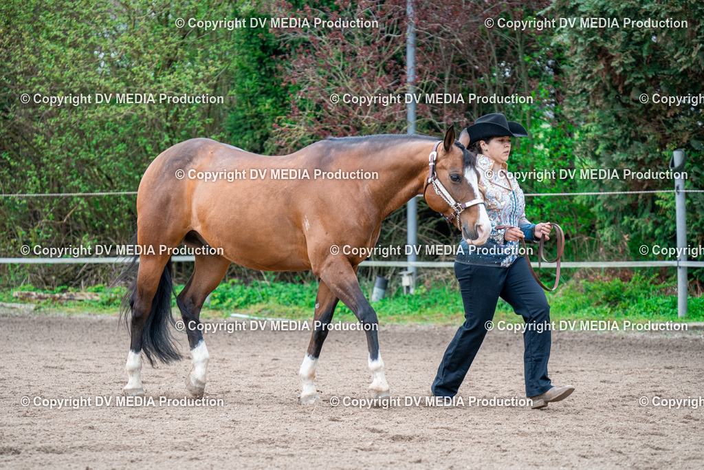 BA300230 | dv-media-shop - Realisiert mit Pictrs.com