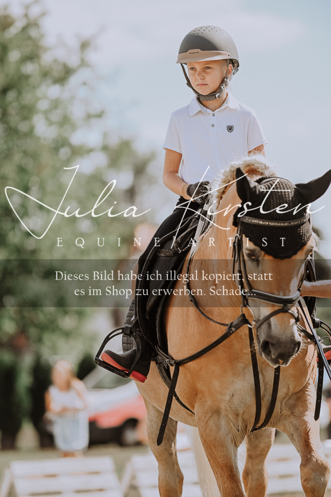 DSC_7787 | Pferde- und Turnierfotografie in Westsachsen. Pferdeportraits, Auftragszeichnungen und intuitive Kunst.