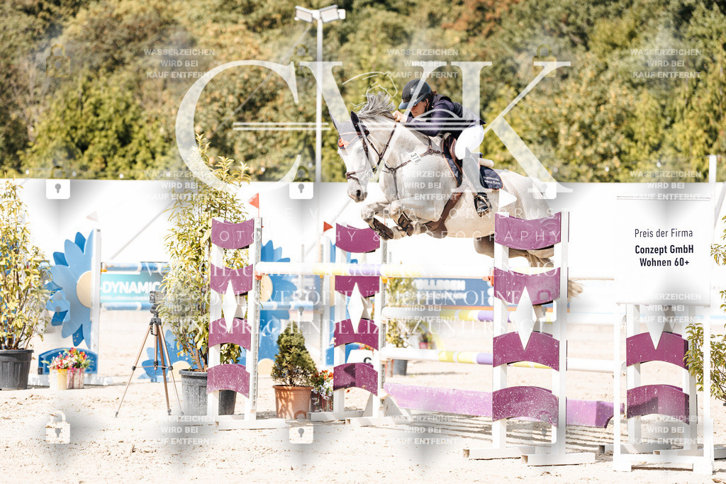 CK905271 | Turnierfotografie Pferdefotografie Trier Rheinland-Pfalz Pferdesport Reitsport Tierfotografie Sportfotografie Pferdevideo Pferdevideografie Equestrianvideography equestrianphotography  - Realisiert mit Pictrs.com