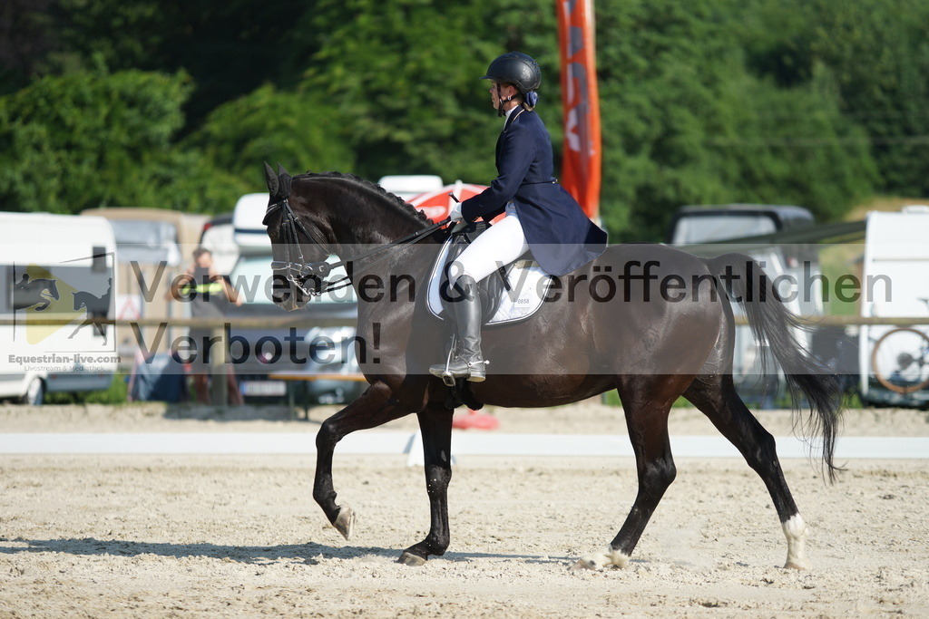 DSC02556 | equestrian-live-com